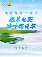 国产欧美日韩va